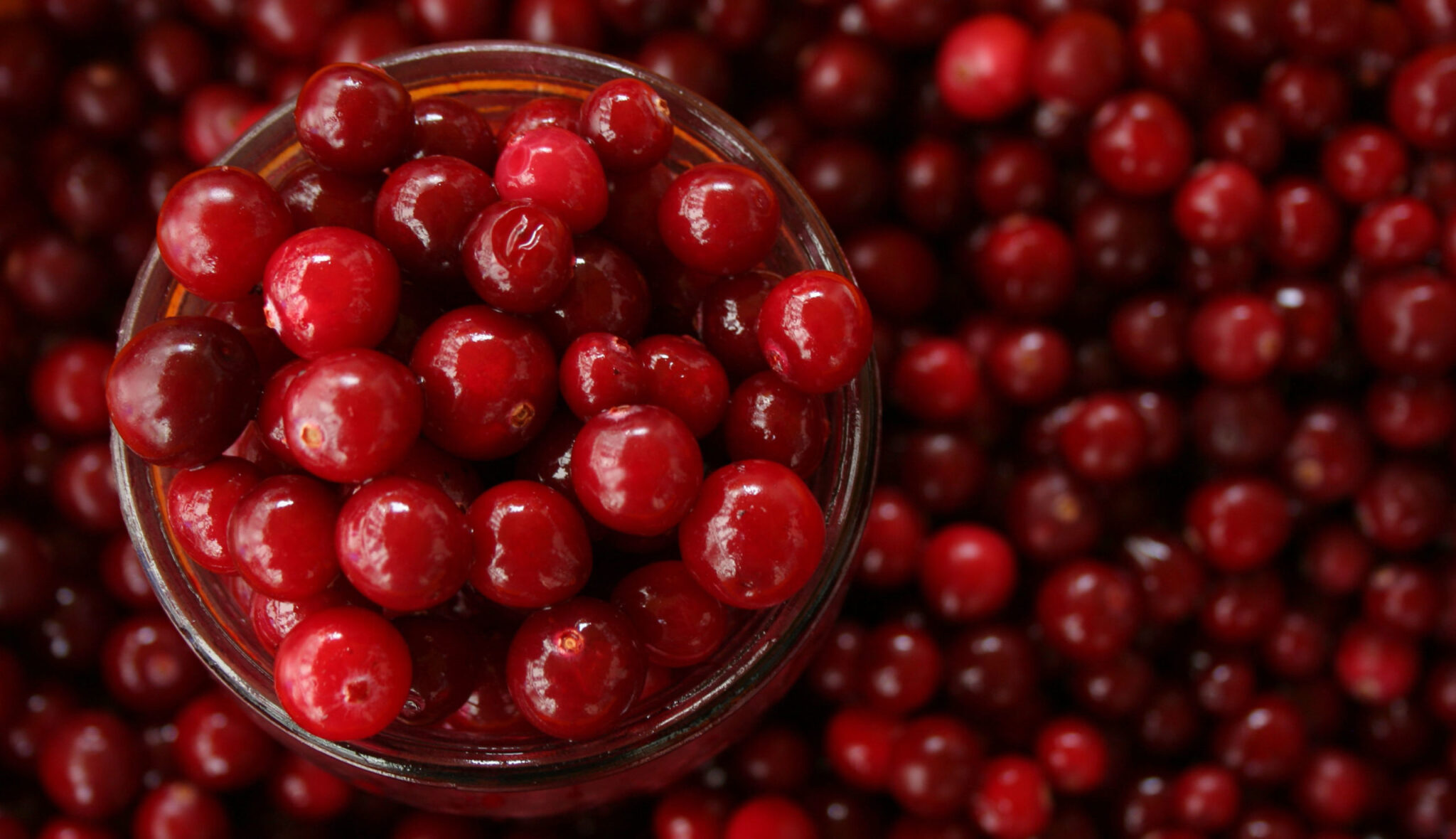 Astaxantina y antioxidantes: un complemento consciente para tu bienestar diario